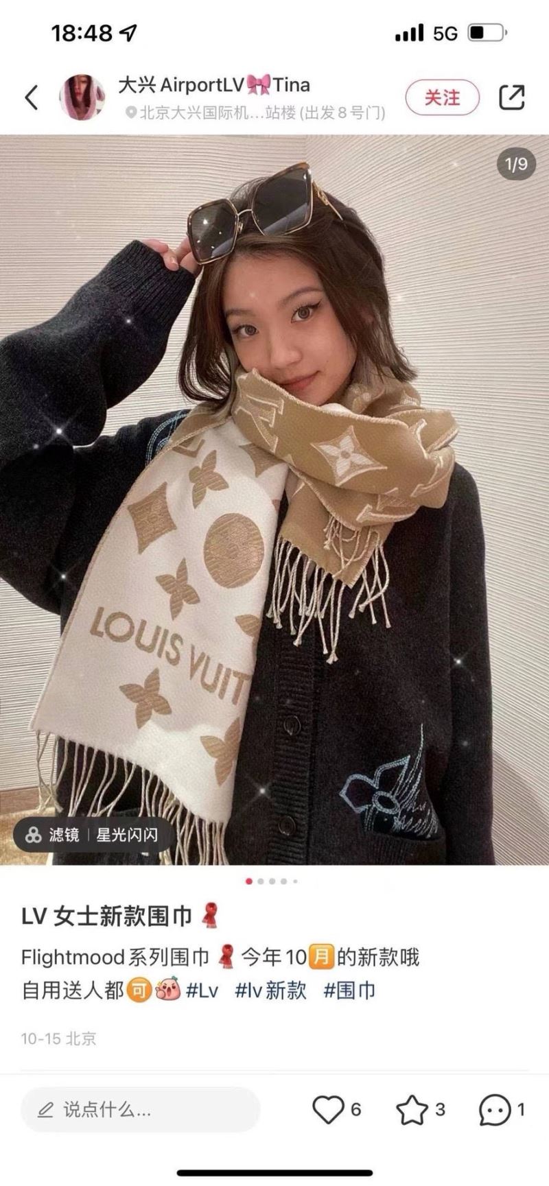 Louis Vuitton Scarf